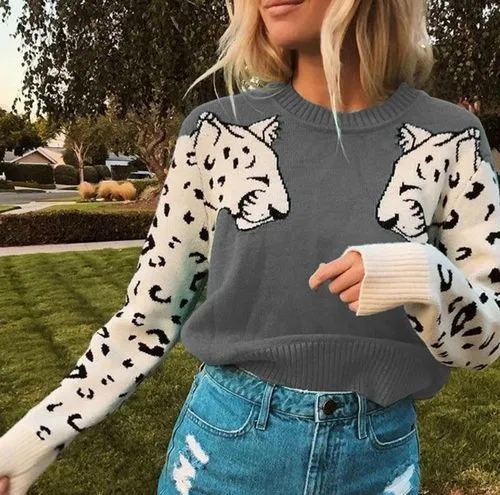 Women's Sweater Long Sleeve Sweaters & Cardigans Rib-knit Hollow Out Fashion Color Block Leopard