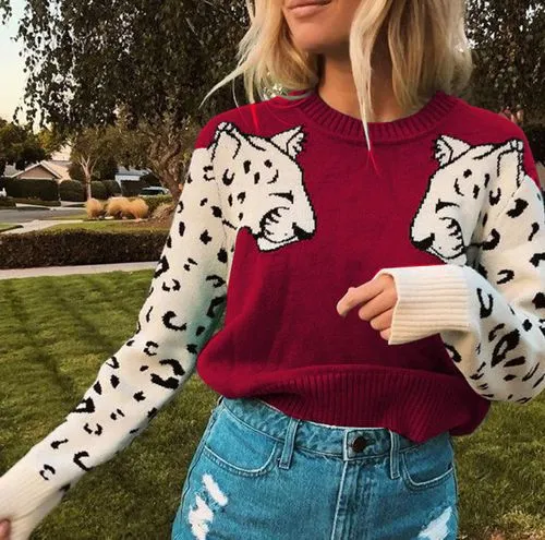 Women's Sweater Long Sleeve Sweaters & Cardigans Rib-knit Hollow Out Fashion Color Block Leopard