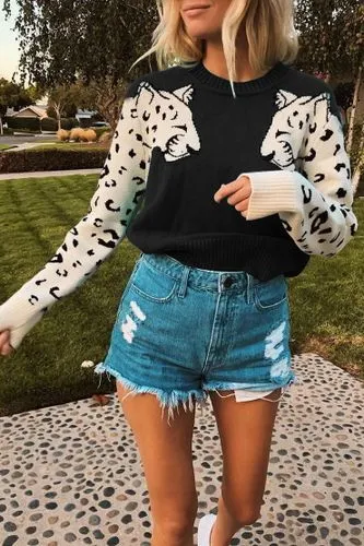 Women's Sweater Long Sleeve Sweaters & Cardigans Rib-knit Hollow Out Fashion Color Block Leopard